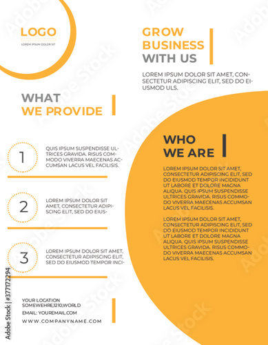 company flyer design template