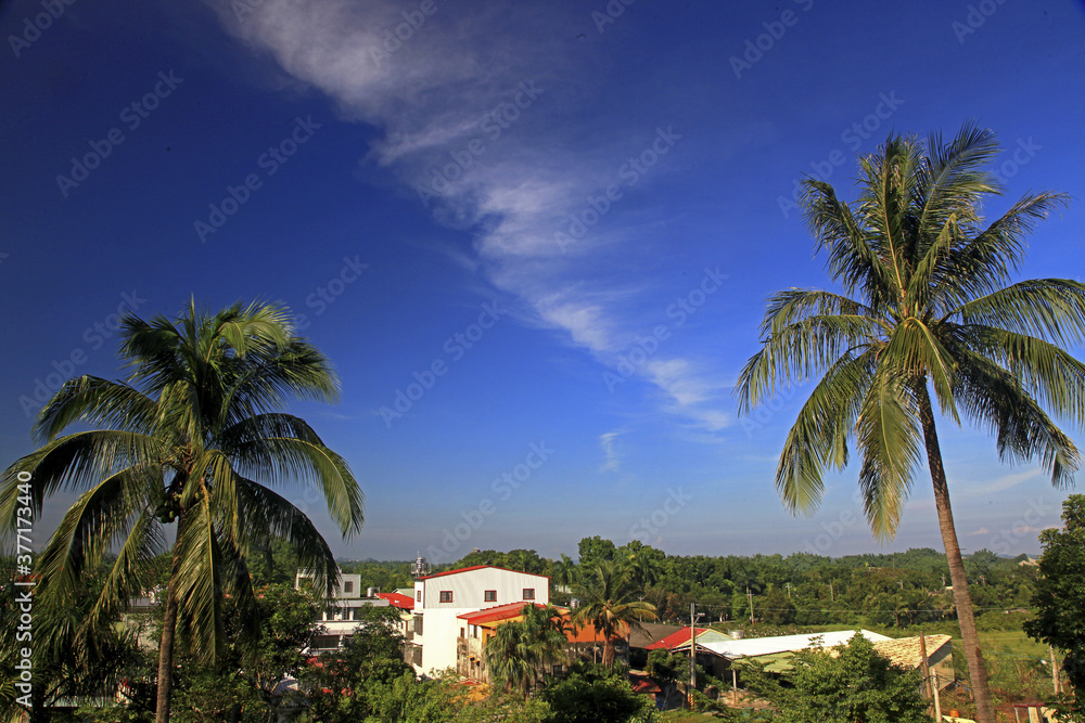 Tainan Nanhua Country Coconut Grove