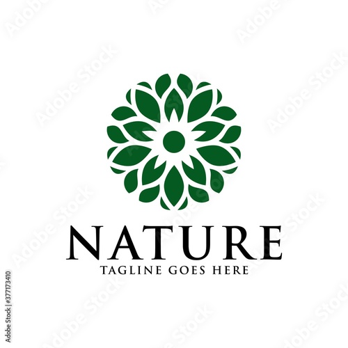 Leaf nature eco green logo concept icon vector template.