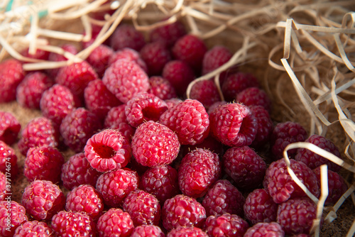 Fresh red raspberries lie on yellow decorative straw. The view from the top