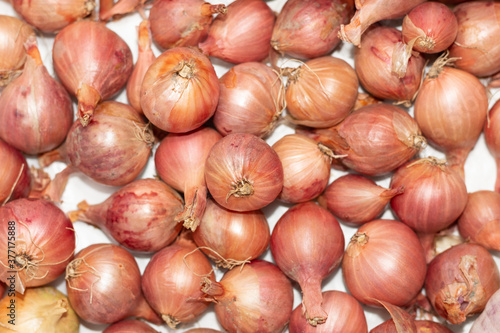 Golden fresh ripe onions heap as background 