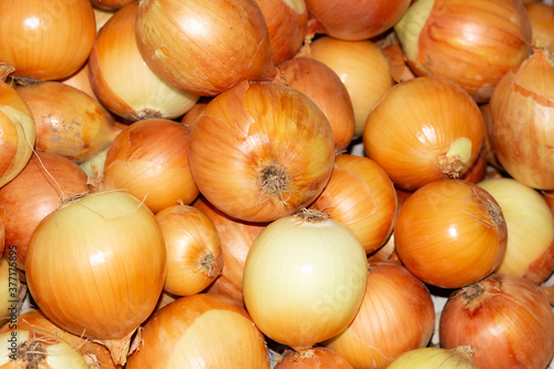 Yellow fresh ripe onions heap as background 