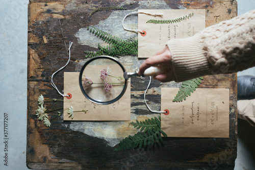 Herbarium On The Table With Paper Tags photo