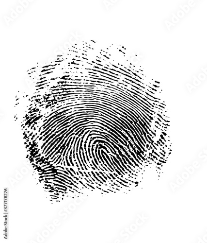 Icon of a fingerprint isolated on the white background.