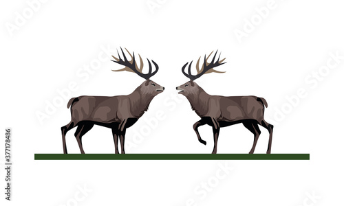 wild reindeer couple animals nature icons