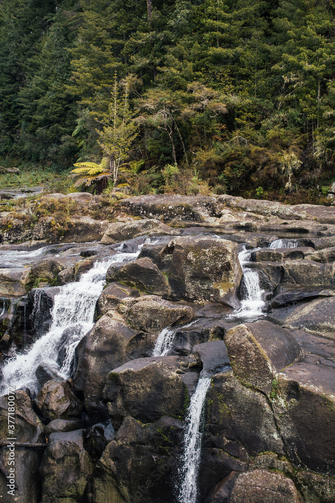 Small waterfalls near a forest Small waterfalls near a forest