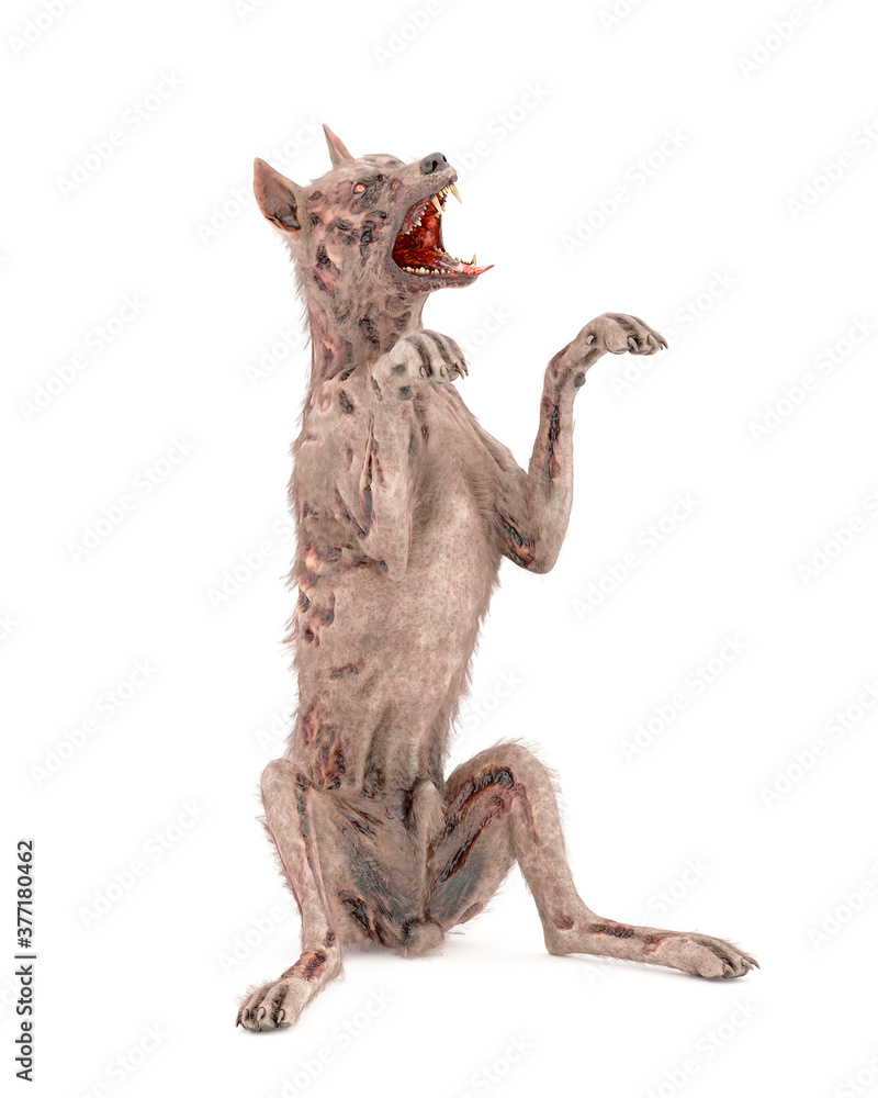 zombie dog is begging and isolated in white background