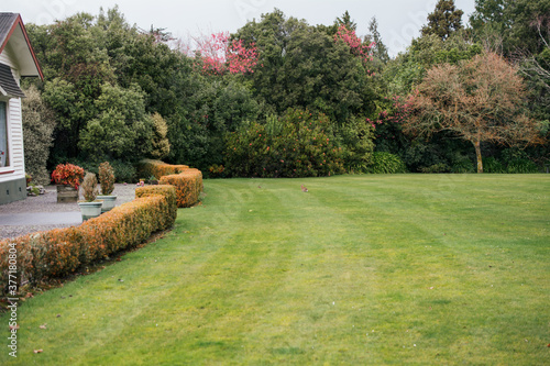 Manicured garden with a small bunny