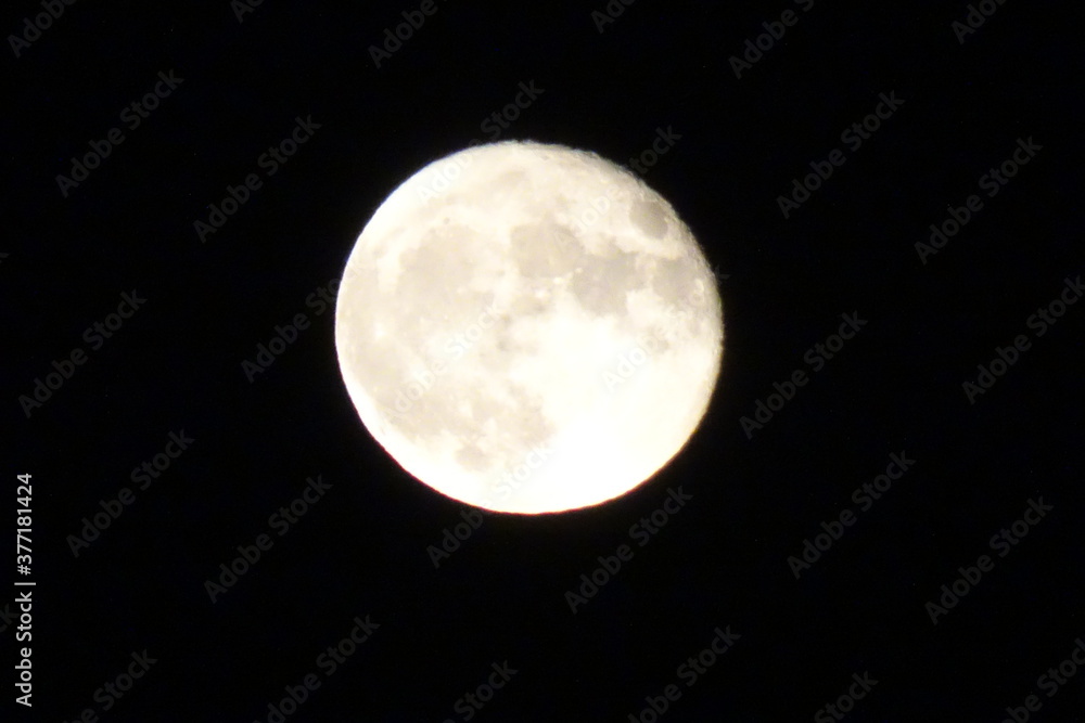 Fototapeta premium Earth's Moon at Night Portrait