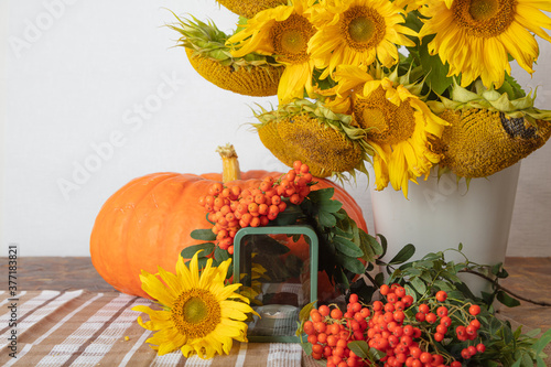 Still life with pumpkin, a bouquet of sunflowers and a white vase, candlesticks and red rowan, hello autumn concept,
  Halloween congratulations