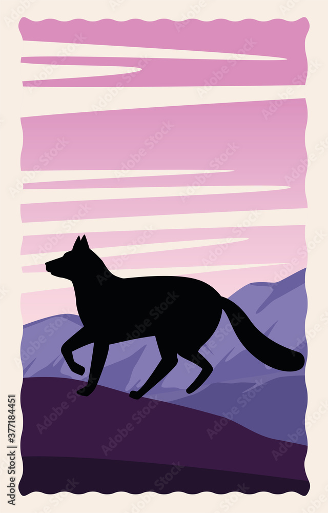 wild fox animal nature silhouette in landscape scene