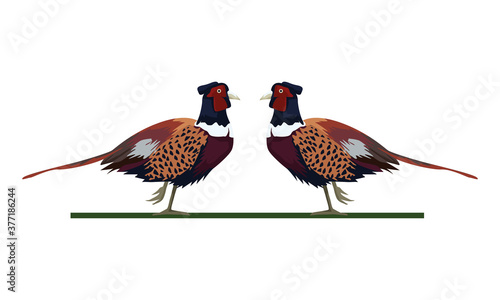 wild pheasants birds animals icons