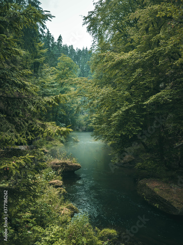 Edmundsklamm Schlucht - B  hmische Schweiz - bei H  ensko im Wald - Fluss