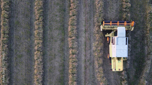 Agricultural harvester in top view while harvesting crops at an agricultural field with copy space