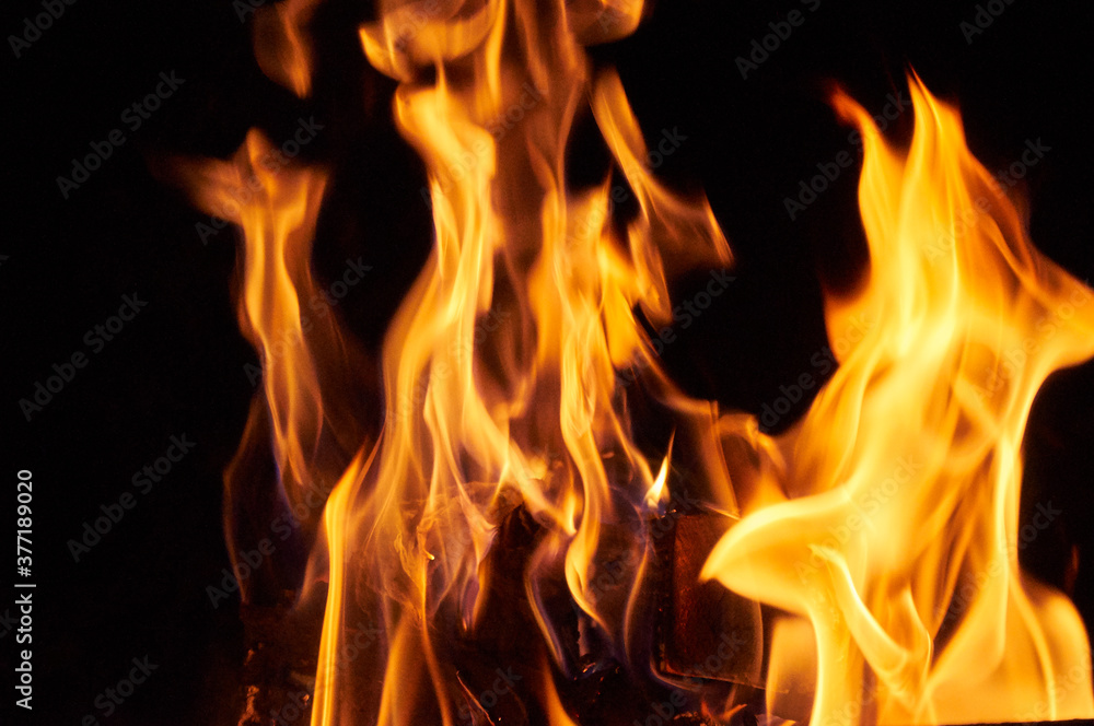 Bright flame of a bonfire in the dark. Fire in the dark Bright flame of a bonfire in the dark. Fire in the dark