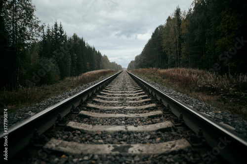 railway in the forest