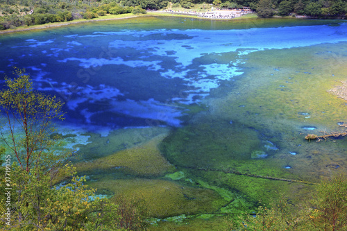 Sichuan Jiuzhaigou Rizegou Five Flowers © TPG