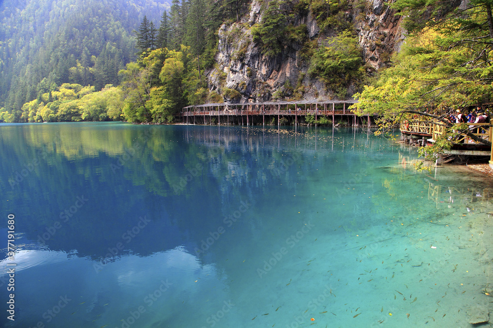 Obraz premium Sichuan Jiuzhaigou Rizegou Panda Sea