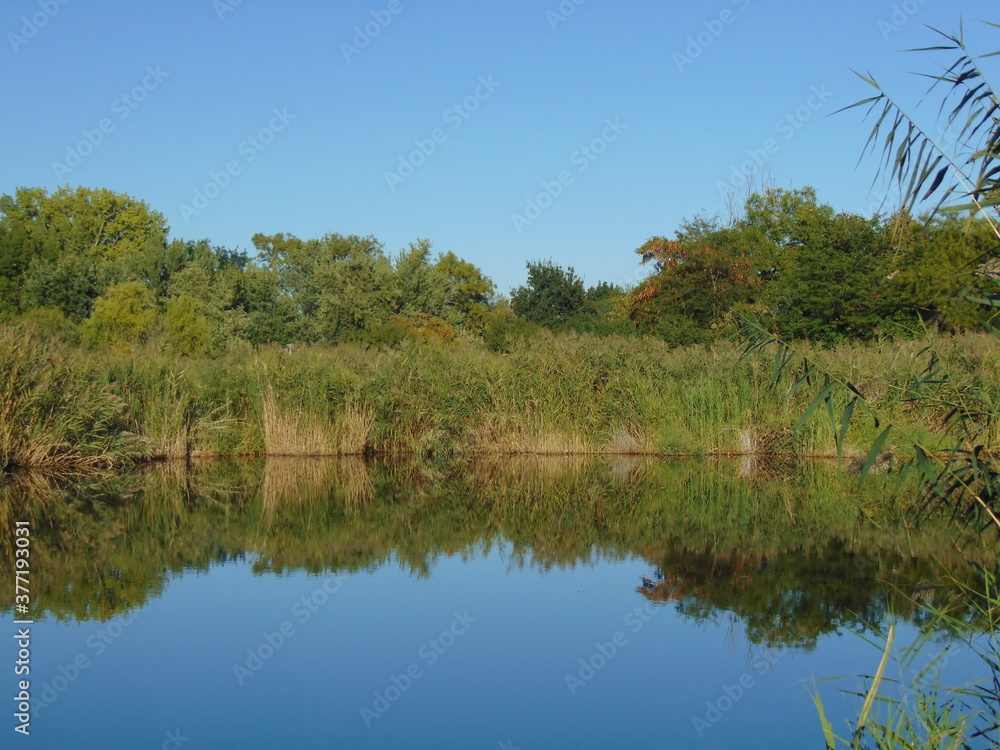 lake in the woods