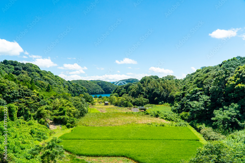 Obraz premium 長崎県佐世保市 西海橋の見える風景