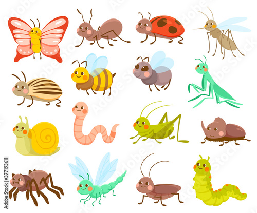 Large set of 16 assorted cute cartoon insects or bugs isolated on white for design elements, colored vector illustration © Rudzhan