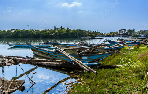 Traditional fishing canoes moored on the banks of the lagoon in Negombo, Sri Lanka photo