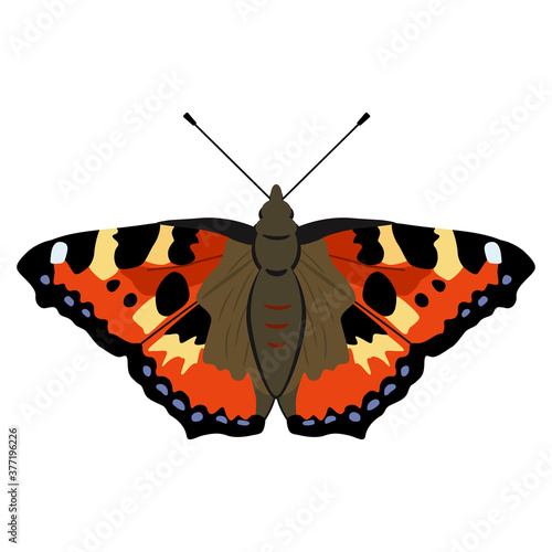Принти на полотні Small tortoiseshell butterfly