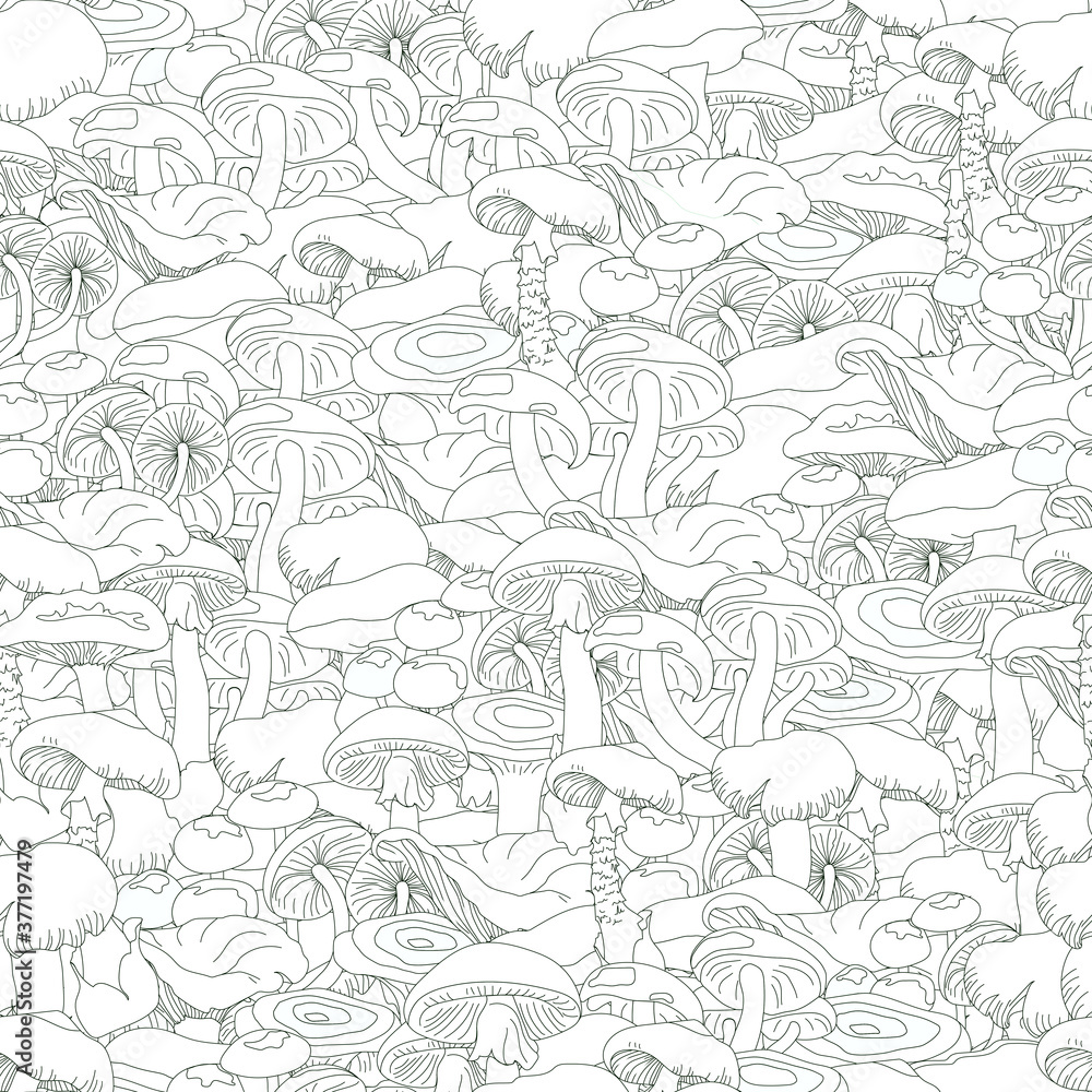 Fototapeta premium Seamless pattern, mushroom doodle for coloring. Vector illustration of toadstool, white mushroom, chanterelles, honey agarics and boletus.