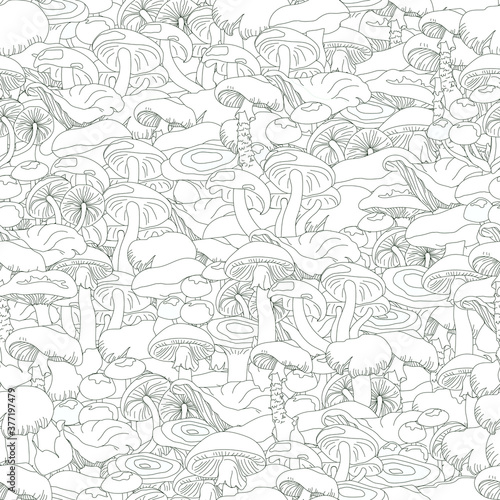 Seamless pattern, mushroom doodle for coloring. Vector illustration of toadstool, white mushroom, chanterelles, honey agarics and boletus.