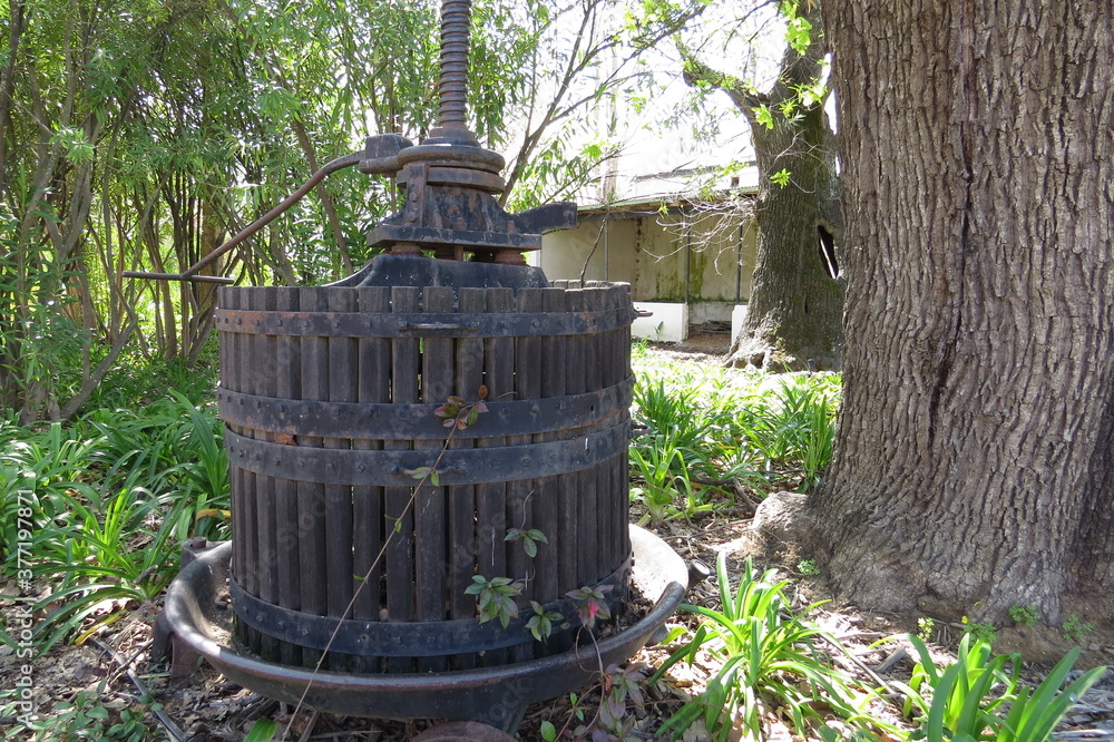 Grape press on wine farm in garden Grape press on wine farm in garden