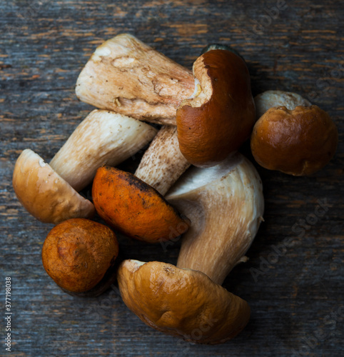 Seasonal forest porcini mushrooms on rustic background, top view