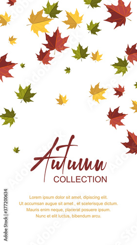 Autumn vertical design with colorful falling maple leaves. Place for text. Vector illustration