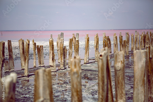 old dried up logs stand on a pink salt lake in the water