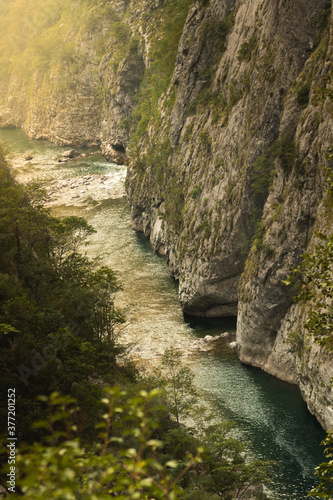 A river in a gorge with a turbulent current  cliffs turned against the water  wildlife and travel