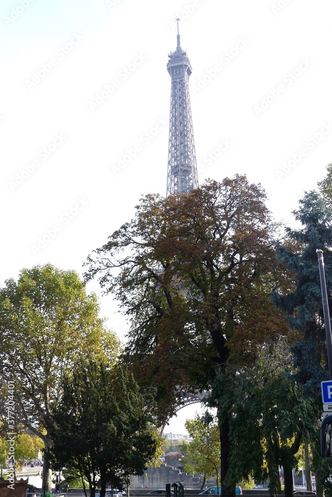 Obraz premium eiffel tower