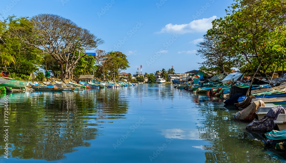 A view of up a tributary leading to the lagoon in Negombo, Sri Lanka A view of up a tributary leading to the lagoon in Negombo, Sri Lanka