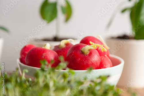 Photos A bole of  fresh pink radish
