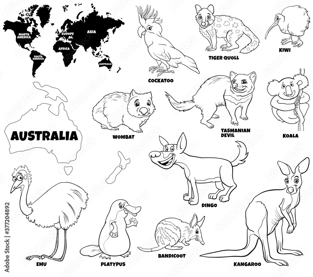 educational illustration of Australian animals color book page educational illustration of Australian animals color book page