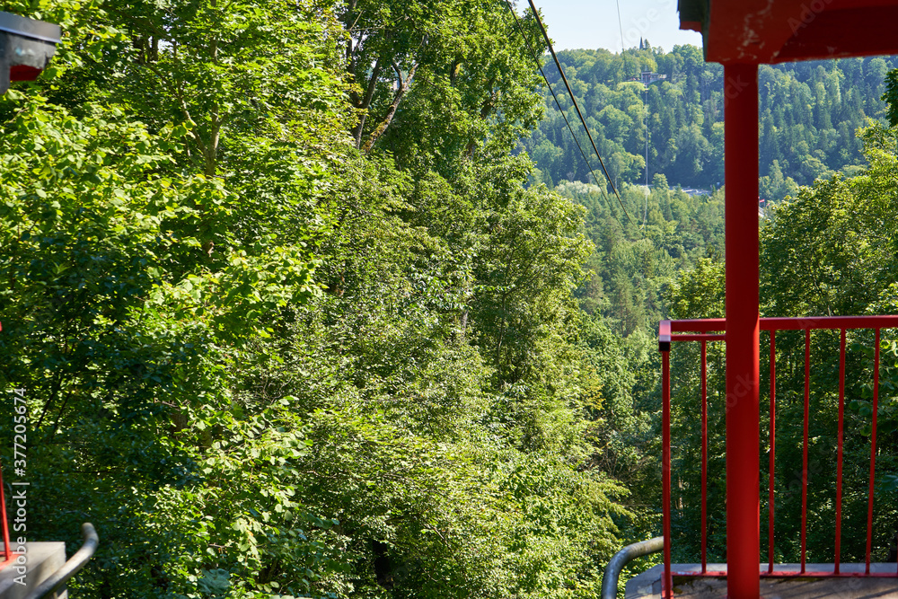 Trees on the mountain and the red fence on one side 