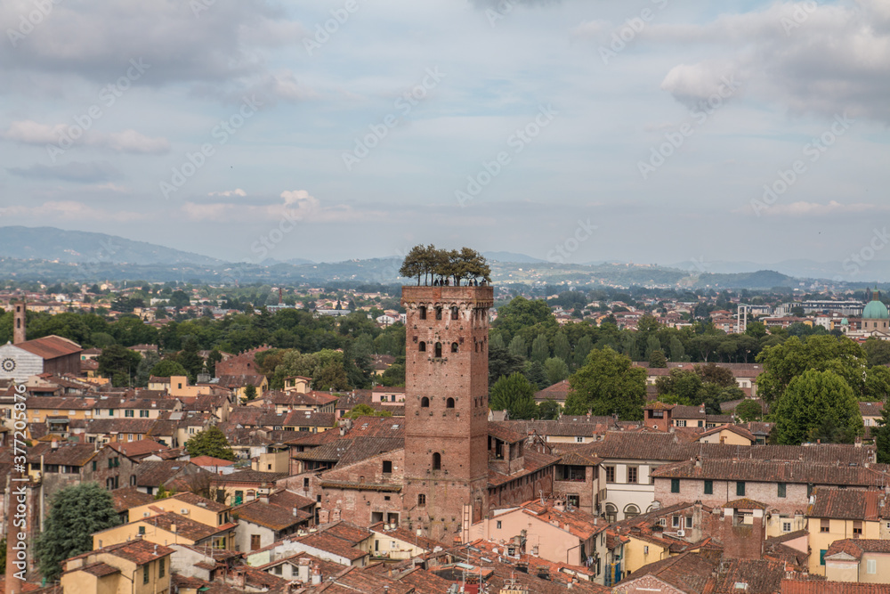 Torre Guinigi a Lucca