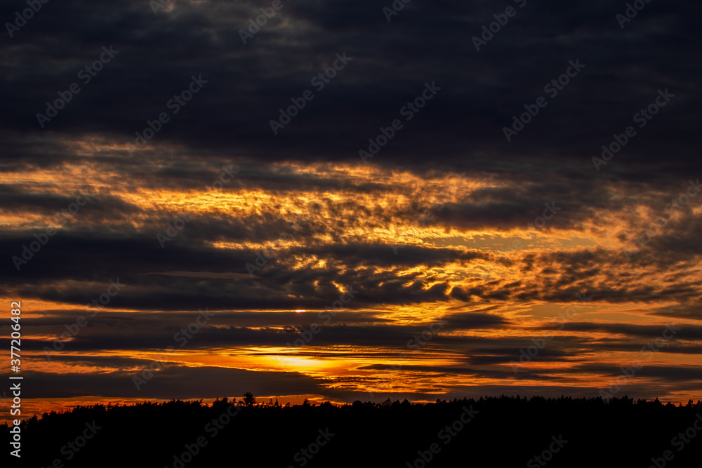 Sunset with clouds above a dark tree line. The sun is obscured by grey clouds Sunset with clouds above a dark tree line. The sun is obscured by grey clouds