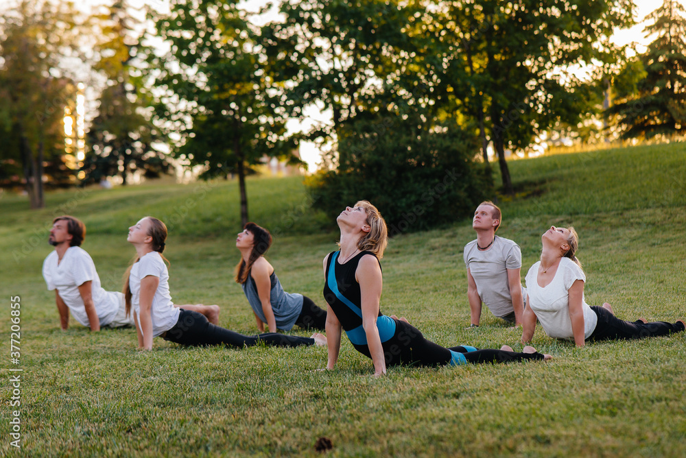 Fototapeta premium A group of people do yoga in the Park at sunset. Healthy lifestyle, meditation and Wellness