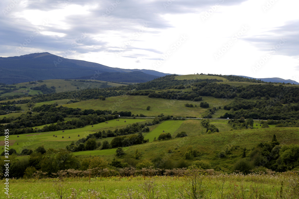 Fototapeta premium weathering of hay, haystacks in the field. idyllic country landscapes on a sunny day. beautiful rural landscape of the Carpathian mountains