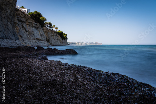 Sandy beach covered by sargasso algae in Calpe, Alicante, Spain