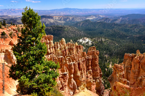 Fotografía Ponderosa Point at Bryce Canyon National Park, Utah