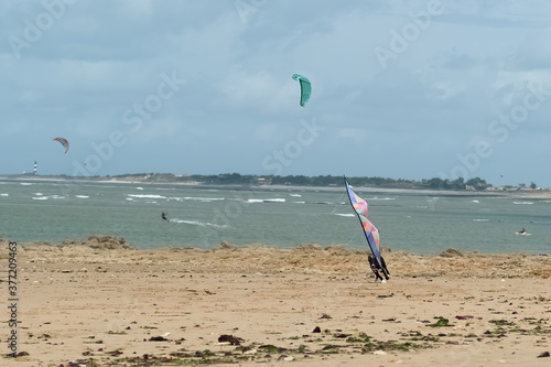 Dog playing with a kite. Running and jumping to catch the kite.