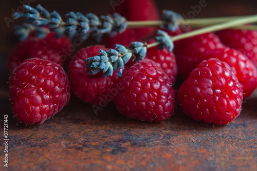 Raspberries and dry lavender sprigs on a rough surface
