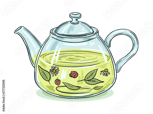 Illustration of a glass teapot with herbal tea. Color picture on a white background. Black outline.