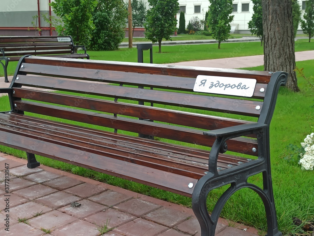 comfortable wooden bench in the park