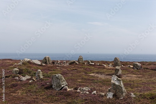Menhir stones in a heath landscape at Ouessant island, Brittany © ChrWeiss